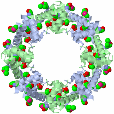 Image Biological Unit 3