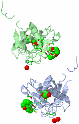 Image Biol. Unit 1 - sites