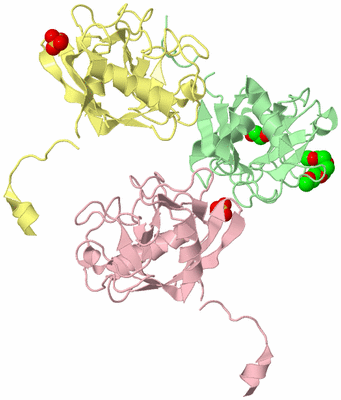 Image Biological Unit 2