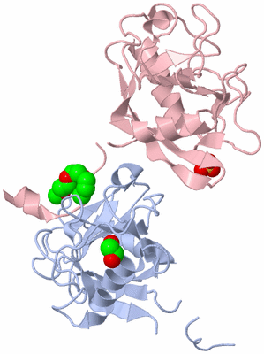 Image Biological Unit 3