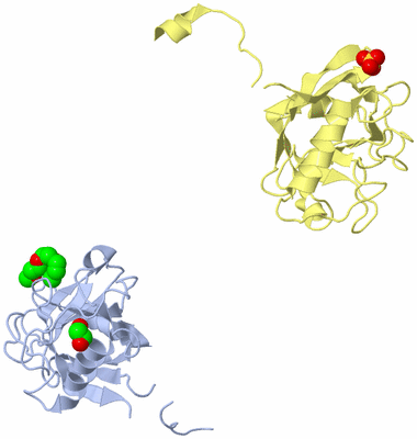 Image Biological Unit 4