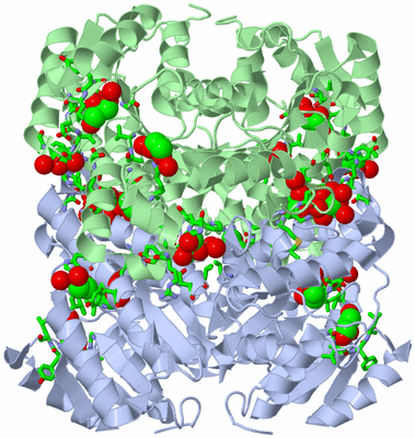 Image Biol. Unit 1 - sites