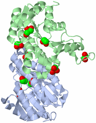 Image Biological Unit 2