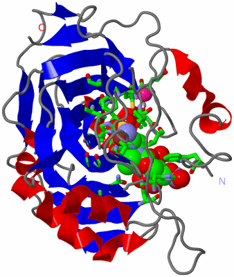 Image Asym./Biol. Unit - sites
