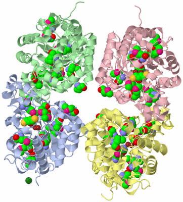 Image Biological Unit 1