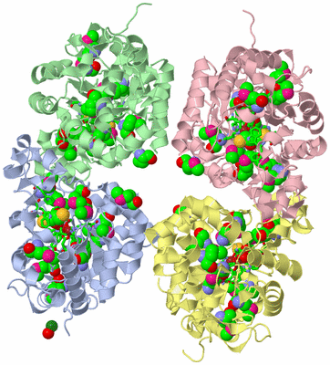 Image Biol. Unit 1 - sites