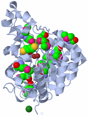 Image Biological Unit 2