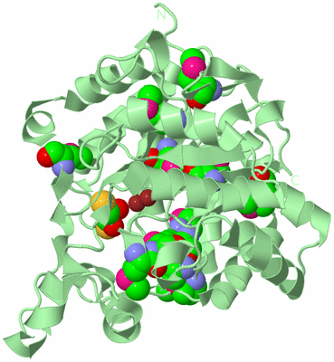 Image Biological Unit 3