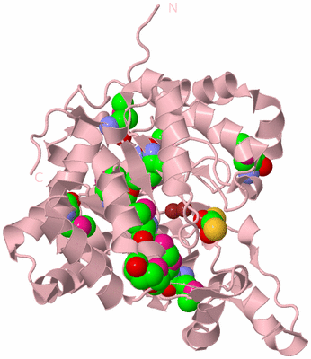 Image Biological Unit 4