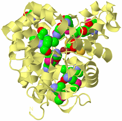 Image Biological Unit 5