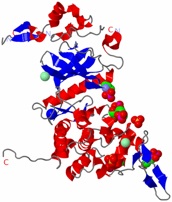 Image Asym./Biol. Unit