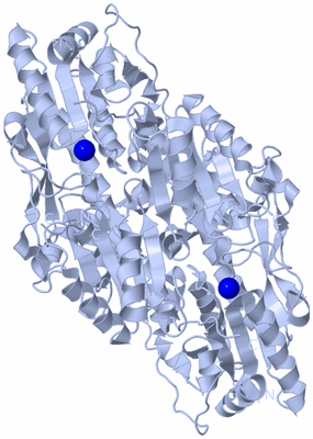 Image Biological Unit 1