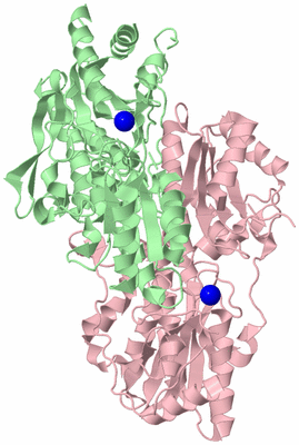 Image Biological Unit 2