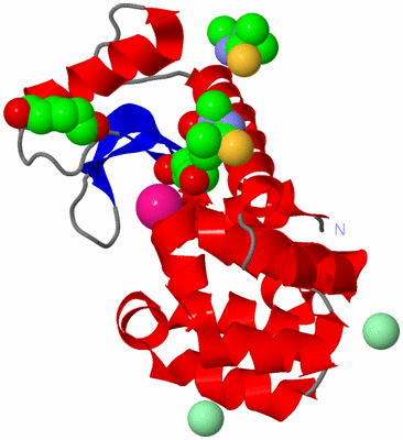 Image Asym./Biol. Unit