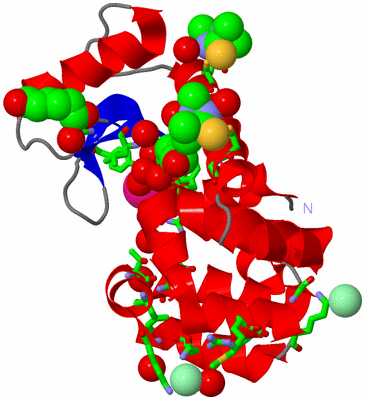 Image Asym./Biol. Unit - sites