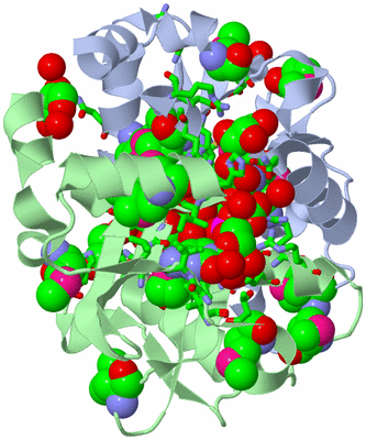 Image Asym./Biol. Unit - sites