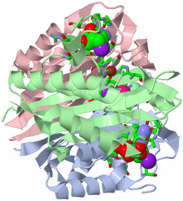 Image Asym./Biol. Unit - sites