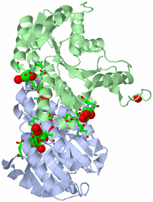 Image Biol. Unit 1 - sites