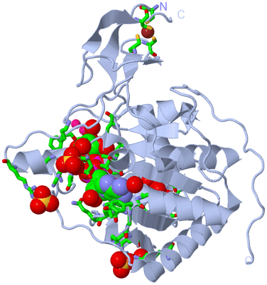 Image Biol. Unit 1 - sites