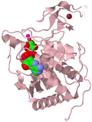 Image Biological Unit 3