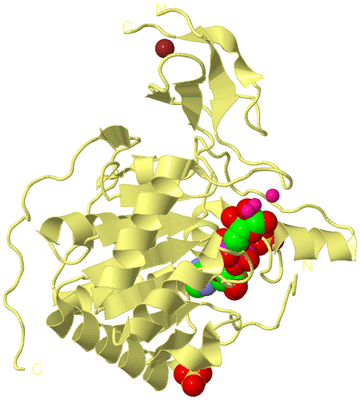 Image Biological Unit 4