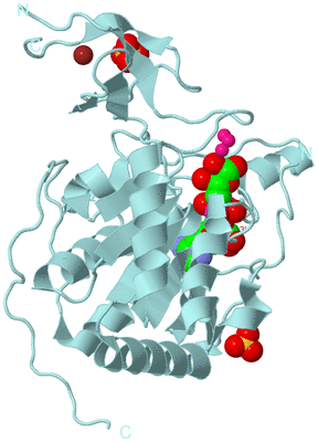 Image Biological Unit 6