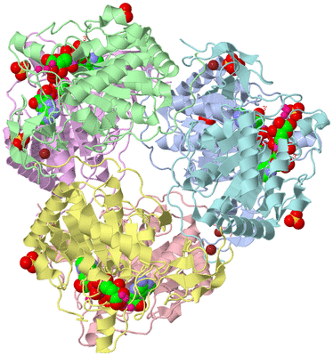 Image Biological Unit 7