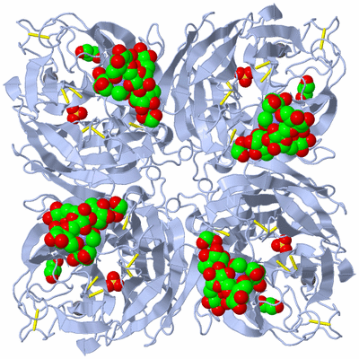 Image Biological Unit 1