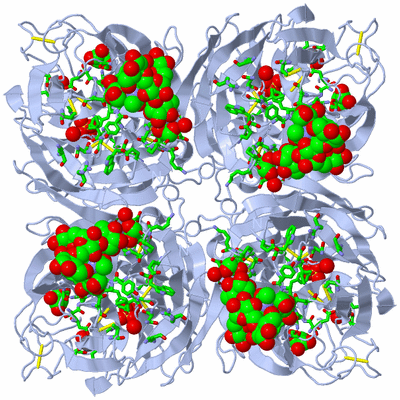 Image Biol. Unit 1 - sites