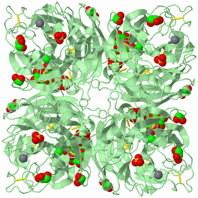 Image Biological Unit 2