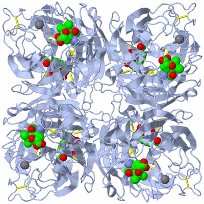 Image Biological Unit 1