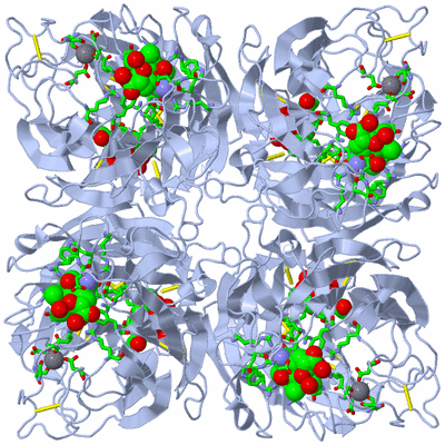 Image Biol. Unit 1 - sites