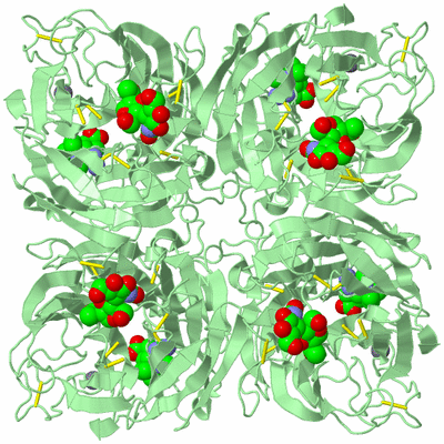 Image Biological Unit 2