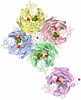 Image Biological Unit 1