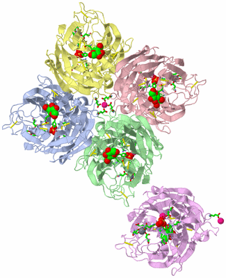 Image Biol. Unit 1 - sites