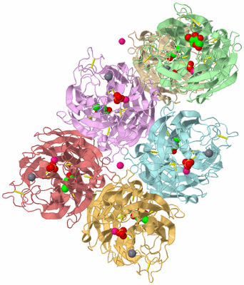 Image Biological Unit 2