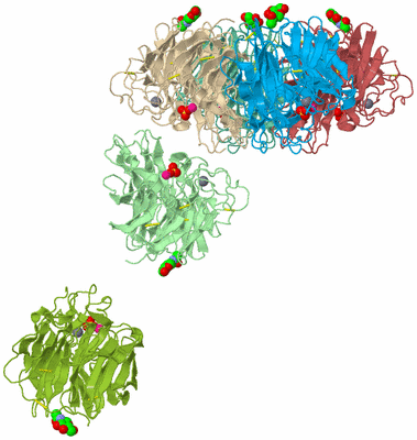 Image Biological Unit 3