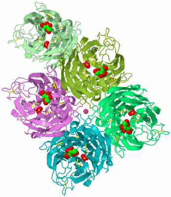 Image Biological Unit 4