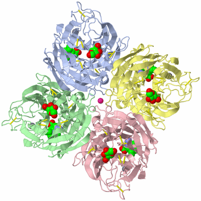 Image Biological Unit 1