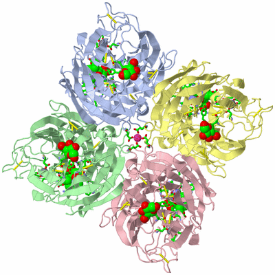 Image Biol. Unit 1 - sites