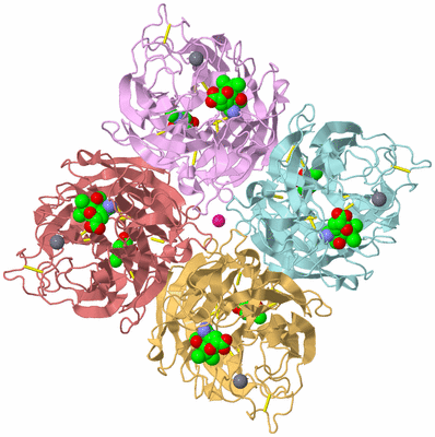 Image Biological Unit 2