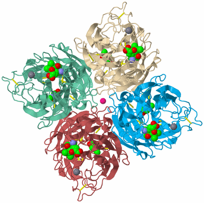 Image Biological Unit 3