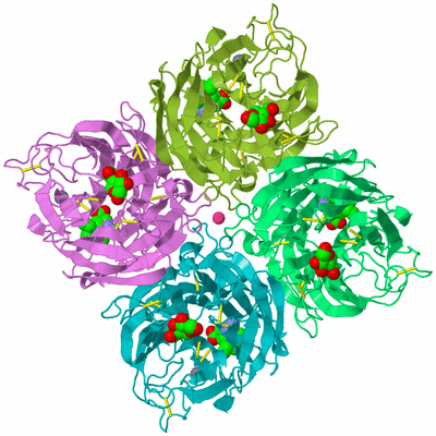 Image Biological Unit 4