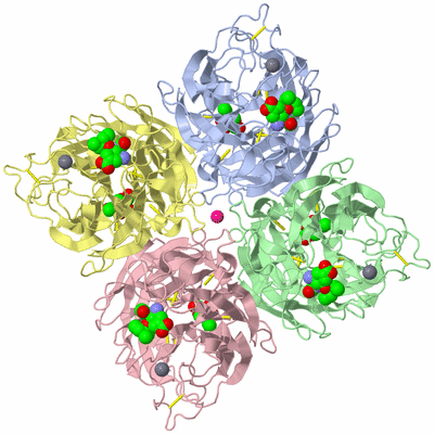 Image Biological Unit 1