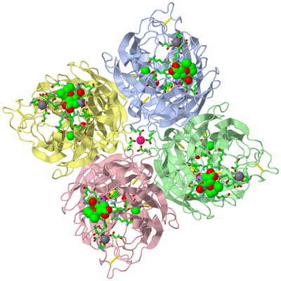 Image Biol. Unit 1 - sites