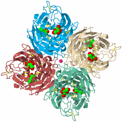 Image Biological Unit 3