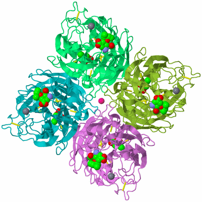 Image Biological Unit 4