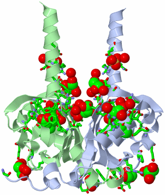 Image Biol. Unit 1 - sites