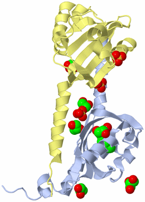 Image Biological Unit 3