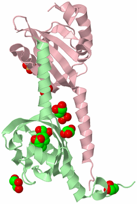 Image Biological Unit 4